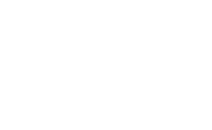 iese-logo-300x184-1.png